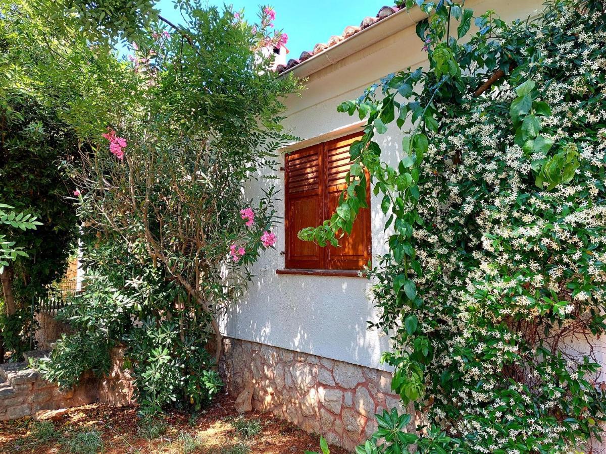 House Leticija Rustica Hébergement de vacances Novalja